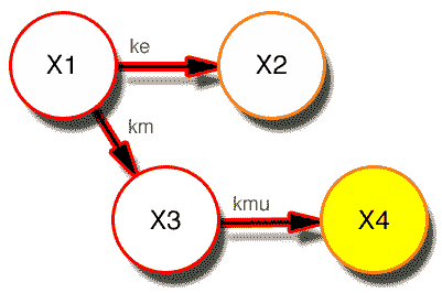 Model with X4 highlighted
