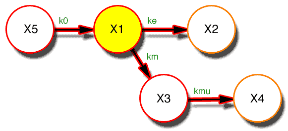Model with X1 highlighted