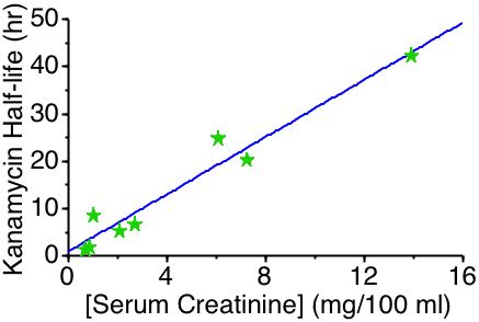 Renal Disease and Drug Elimination
