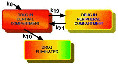 Two Compartment Model