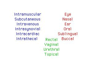 Routes of Drug Administration