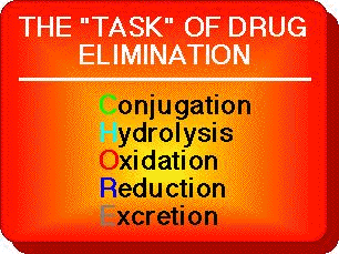 Drug Elimination