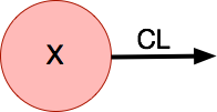 One Compartment Model
