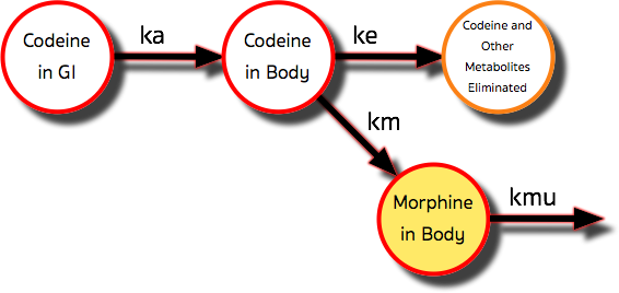 One Compartment Model