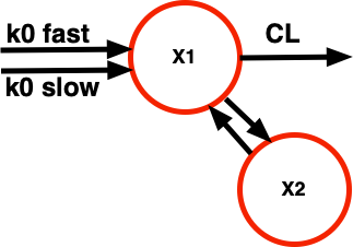 Two compartment bolus-infusion model