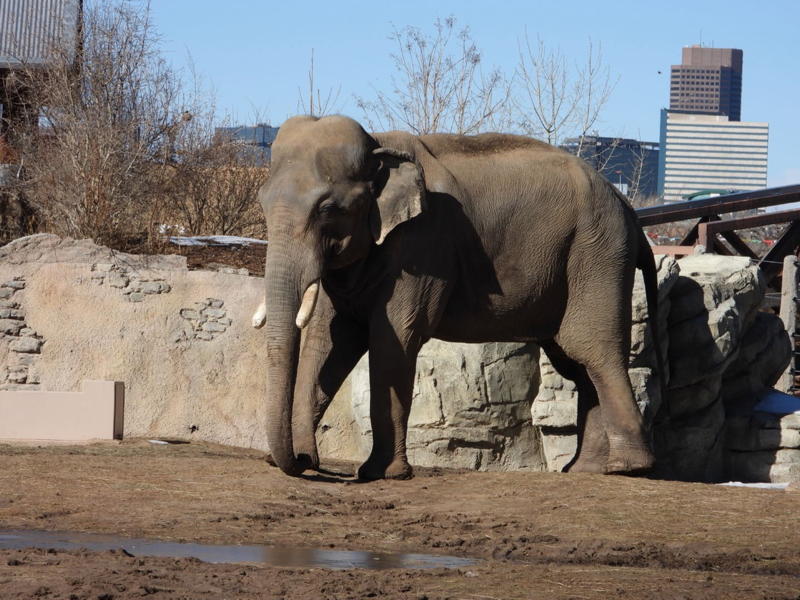 dscn3067.jpg