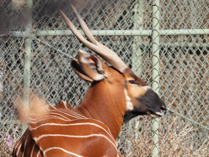 dscn3094.jpg