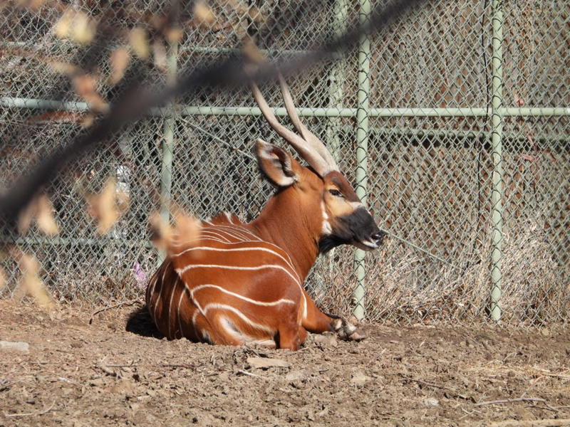 dscn3095.jpg