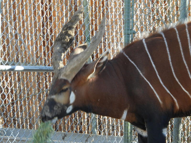 dscn3099.jpg