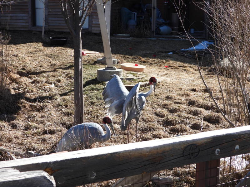 dscn3133.jpg