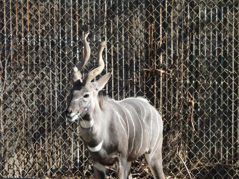 dscn3139.jpg