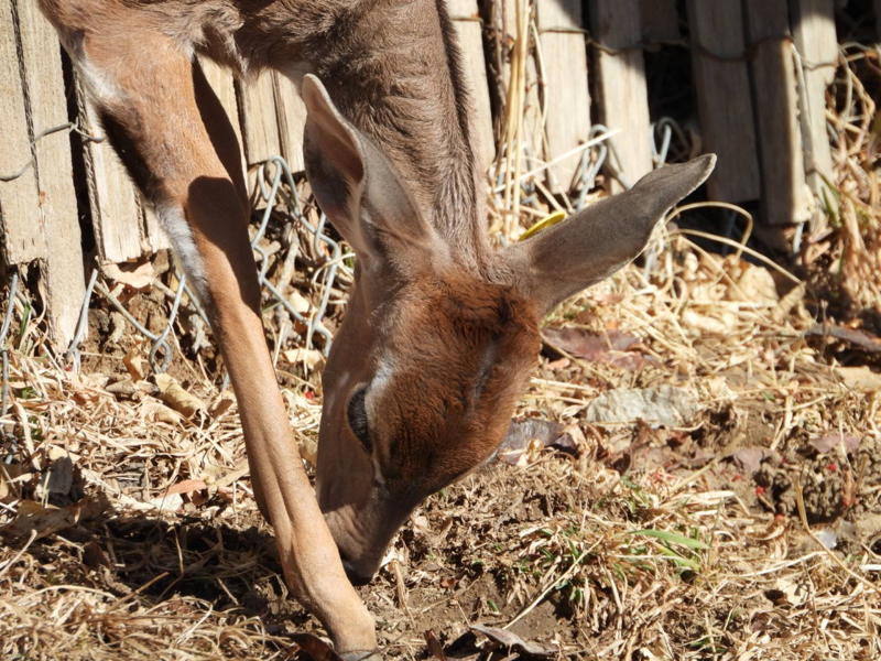 dscn3148.jpg