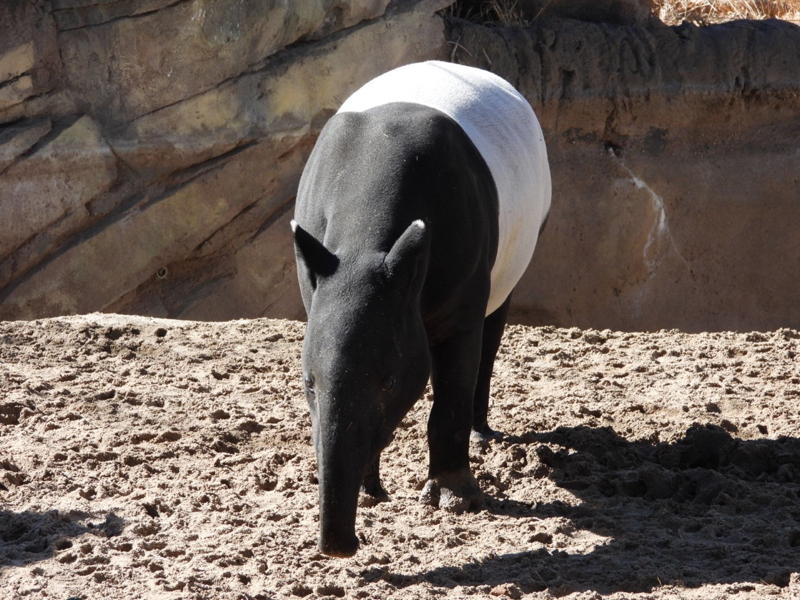 dscn3155.jpg