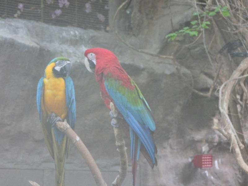 dscn3166.jpg