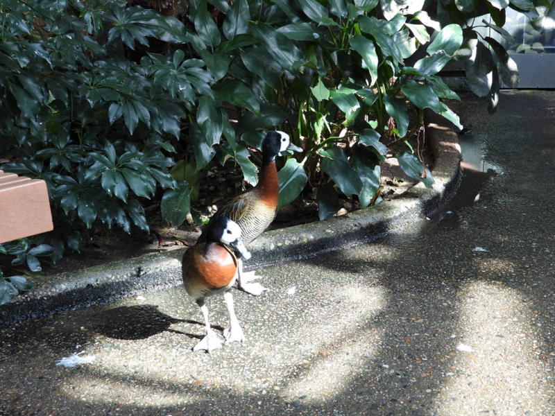 dscn3173.jpg