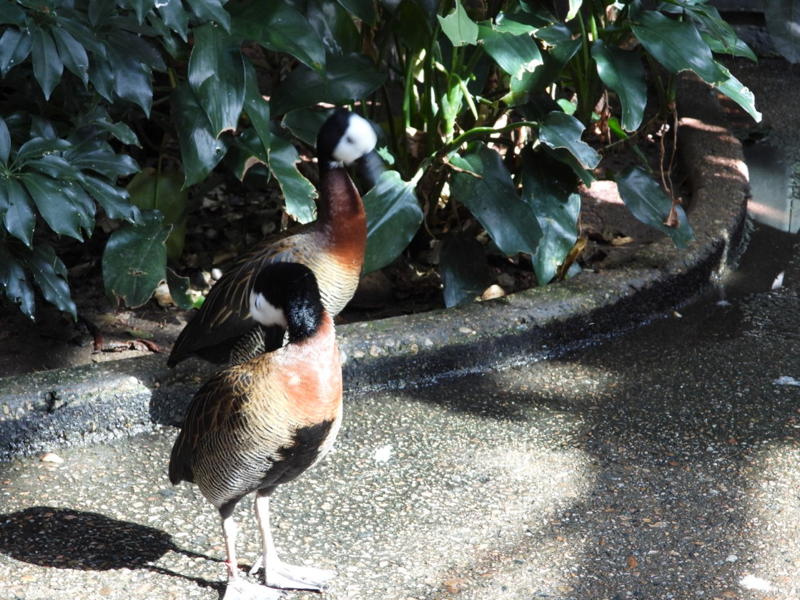 dscn3174.jpg