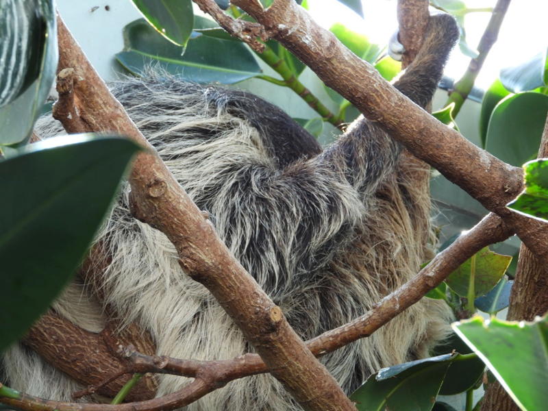 dscn3175.jpg