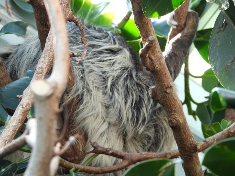 dscn3178.jpg
