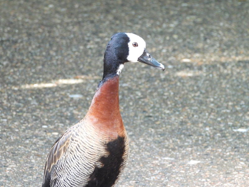 dscn3180.jpg
