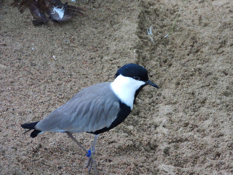 dscn3182.jpg