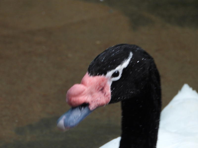 dscn3185.jpg