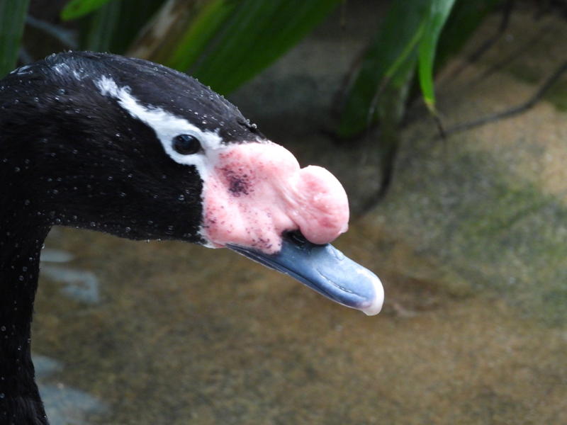dscn3186.jpg