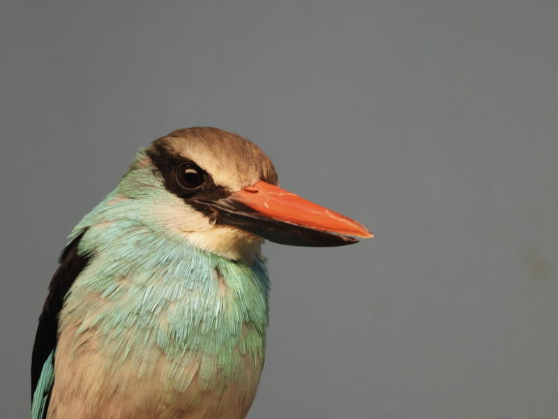 dscn3198.jpg