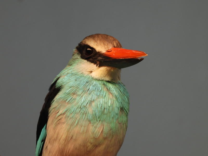 dscn3200.jpg