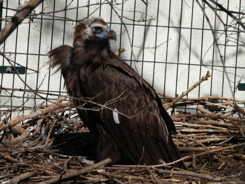 dscn3216.jpg