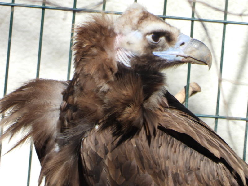 dscn3217.jpg