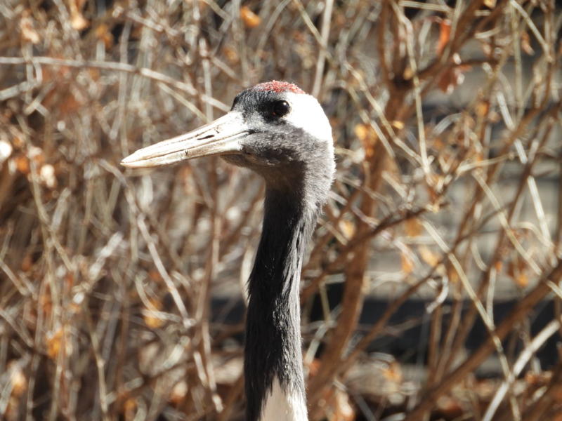 dscn3224.jpg