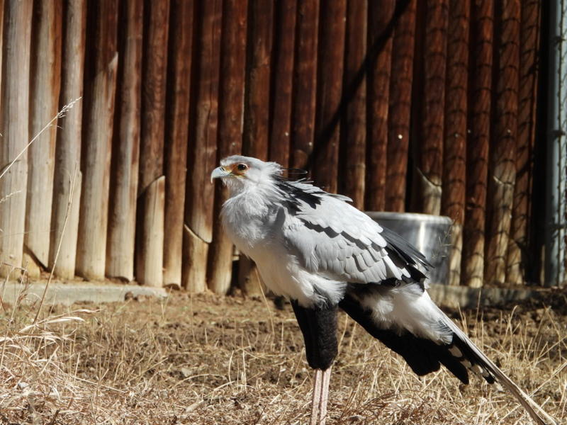 dscn3245.jpg