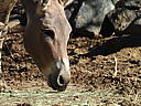 dscn3091.jpg