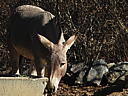 dscn3092.jpg