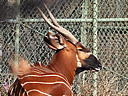 dscn3094.jpg