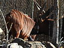 dscn3096.jpg
