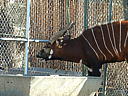 dscn3097.jpg