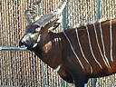 dscn3098.jpg