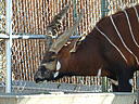 dscn3100.jpg