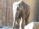 dscn3102.jpg