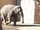 dscn3103.jpg