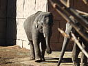 dscn3104.jpg