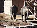 dscn3105.jpg