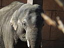dscn3107.jpg