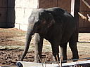 dscn3108.jpg