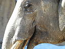 dscn3109.jpg