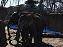 dscn3110.jpg