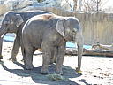 dscn3111.jpg