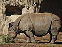dscn3114.jpg