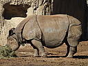 dscn3115.jpg